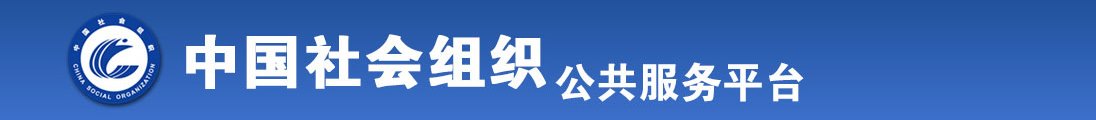 大鸡吧插到底视频在线全国社会组织信息查询